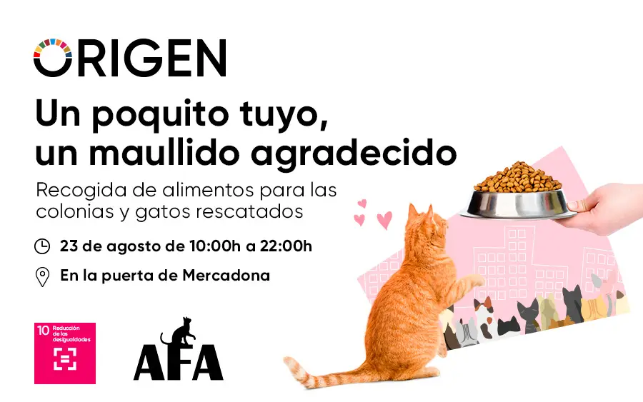 Recogida Alimentos para Gatos en AireSur