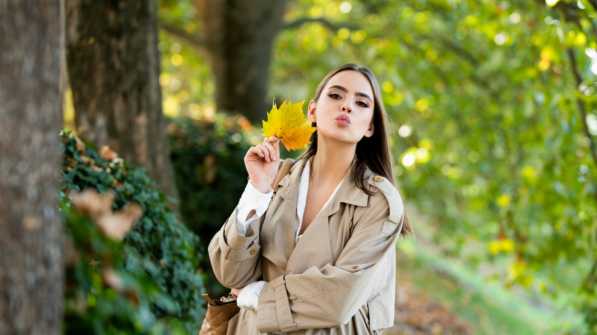 Otoño en AireSur